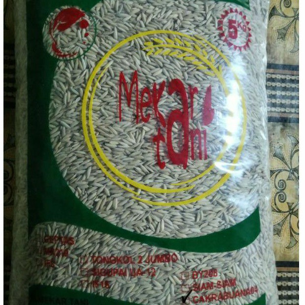 benih padi cakrabuana 04