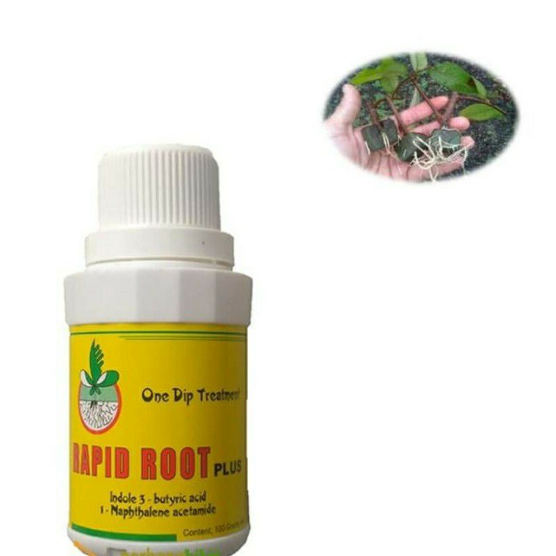 RAPID ROOT Plus  Hormon Percepat Pertumbuhan Akar Cangkok, Stek 100Gr