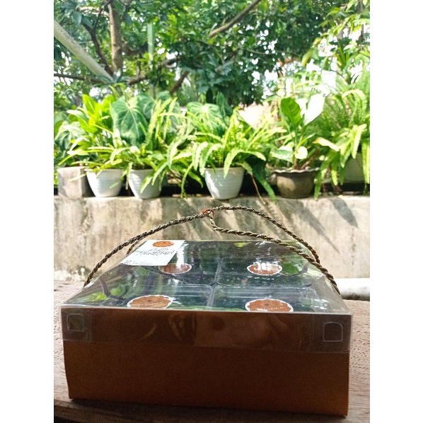 glutenfree dairyfree dessertbox healthy hampers lampung (kue sehat)