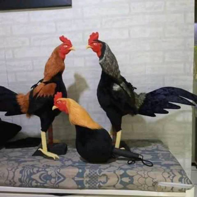 Boneka ayam + 300gr 5 + bubul 3 + tas sabuk untul