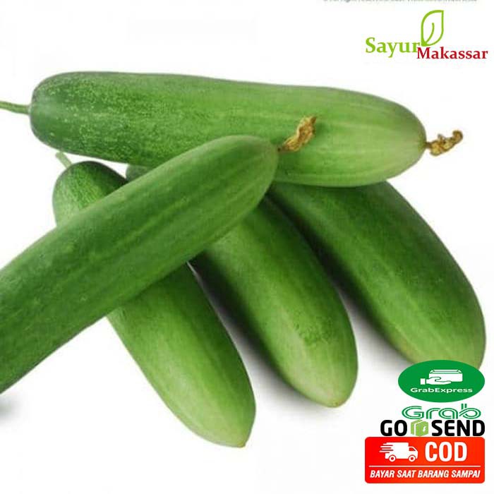 

Timun hijau / Mentimun Cucumber Sayur Sayuran Fresh