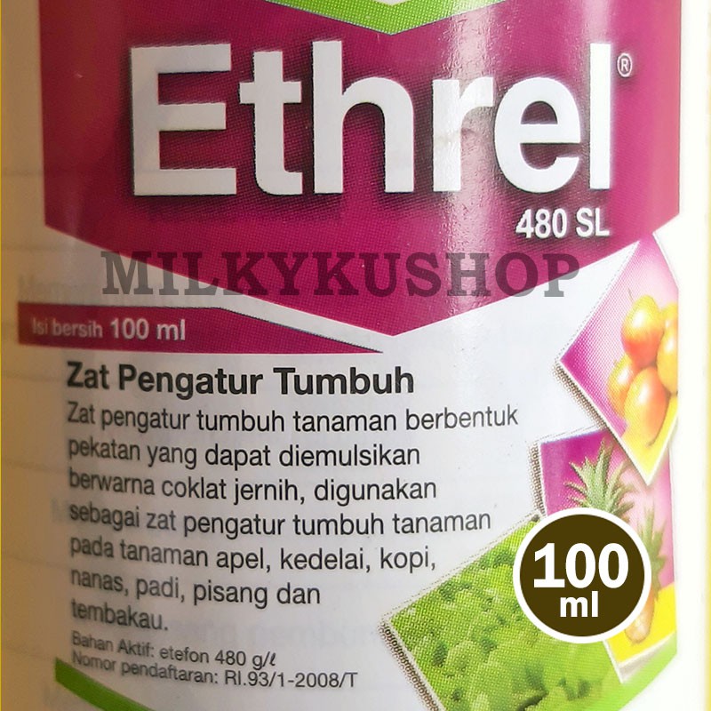 ETHREL 480 SL 100 ML ZPT PEMATANG BUAH NAGA PISANG PEPAYA