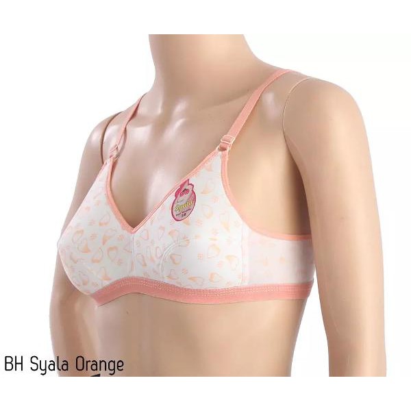 MURAH Bh Pakaian Dalam Wanita Bra Grosir