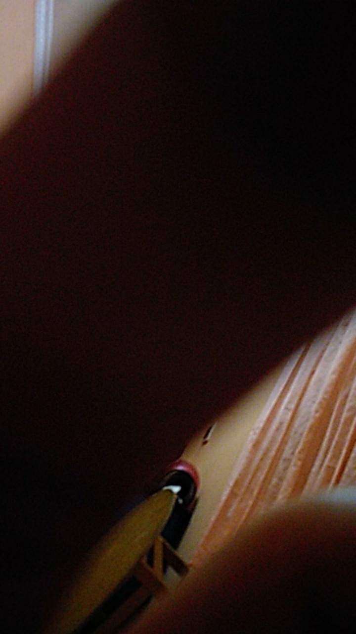 Catalina Whisk 8 Line Kocokan Telur Egg Shaker 12 14 16 Inch