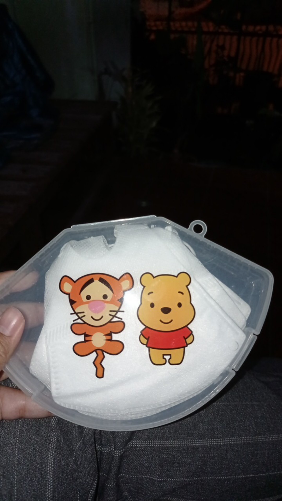 Kotak Penyimpanan Masker Kn95 N95 / Tempat Masker Kartun