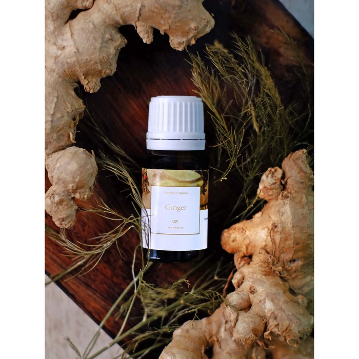 Fresh Ginger Essential Oil Minyak Atsiri Jahe - Obat Nyeri Herbal