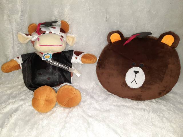 boneka wisuda / BANTAL KARAKTER / BONEKA KARAKTER