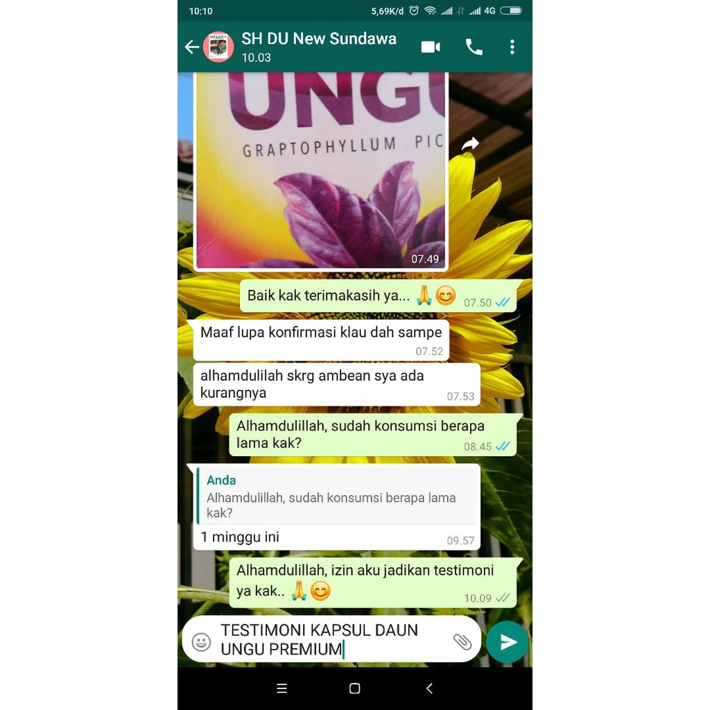 [ORIGINAL] KAPSUL DAUN UNGU PREMIUM SUPLEMEN HERBAL ATASI AMBIEN DAN WASIR