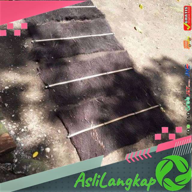 Kakaban (kembang biak ikan)