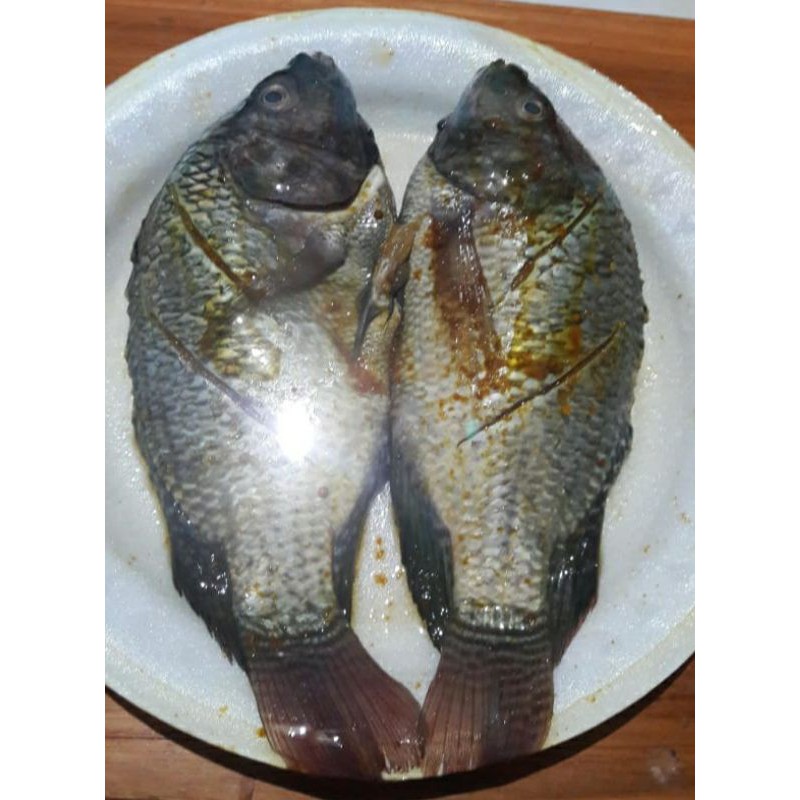 

Ikan Mujair bumbu siap masak 1/2 Kg