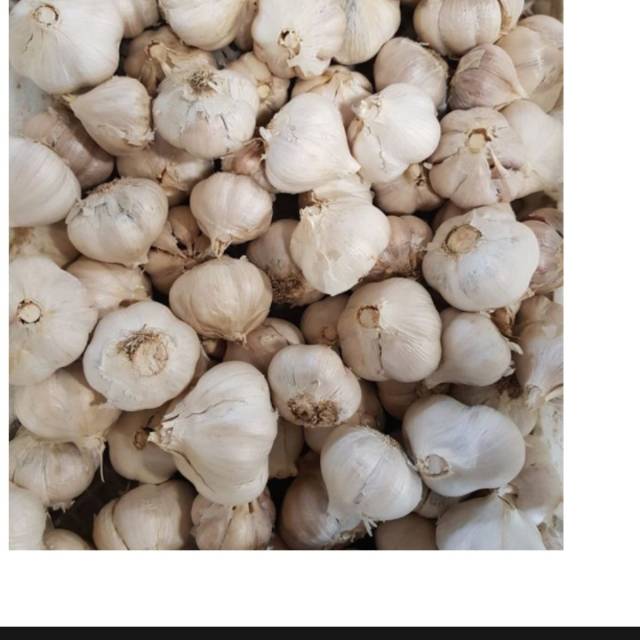 

Bawang putih kating / 500 gram