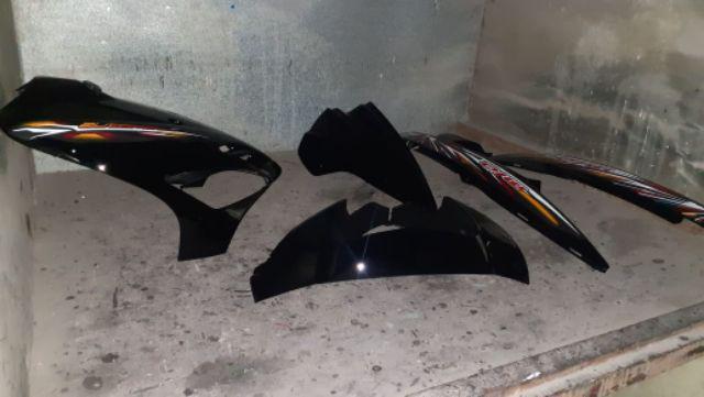 Bibit Tanaman Kelengkeng New Kristal / Wusan (tinggi 40-60 Cm)