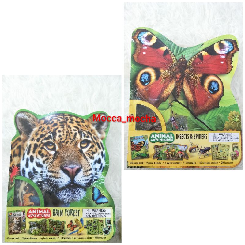 

Bbw Box set animal adventure rain forest / insect and spiders