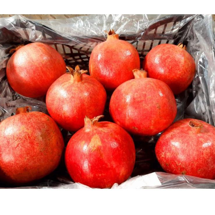 

{Bonus 50%} Delima Pomegranate Peru Import Premium ,.,.,.,,