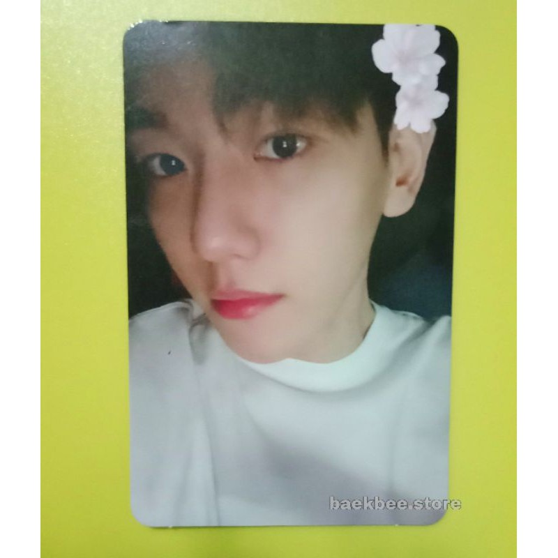 PHOTOCARD BAEKHYUN CHEMISTRY | PC BAEKHYUN DELIGHT (baca deskripsi)