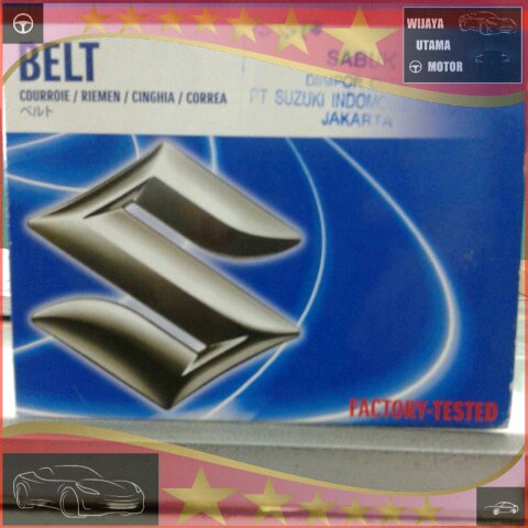 timing belt carry 1.0