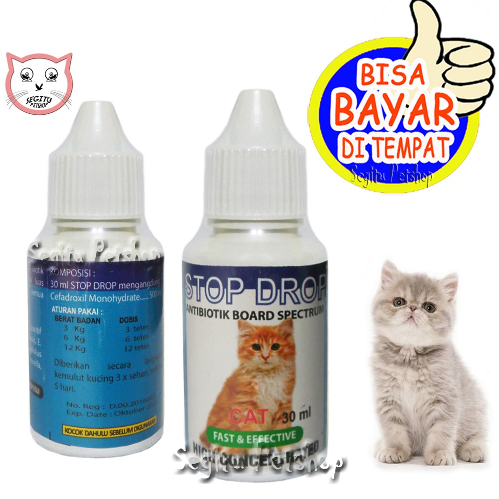 ANTIBIOTIK KUCING OBAT VIRUS FLU DEMAN KUCING KITTEN STOP DROP