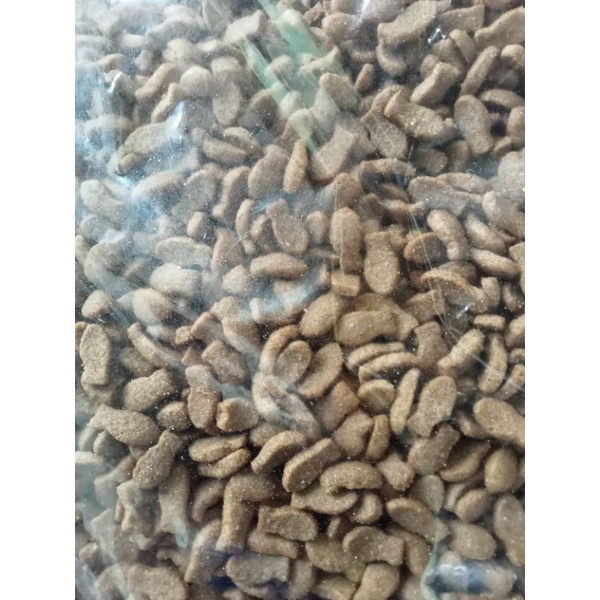 pakan kucing bolt bentuk ikan