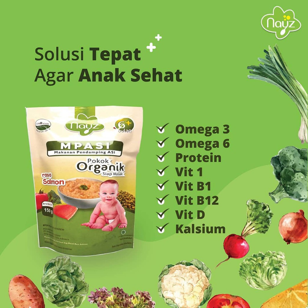 Nayz MPASI Bubur Organik Rasa Salmon 150g