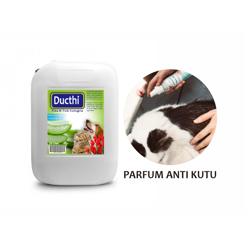 Parfum kucing anti kutu 20 liter