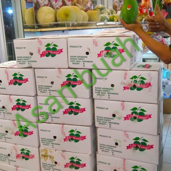 BIG SALE Lily Mangga / Mangga Lily / Lily Mango / Mango Lily