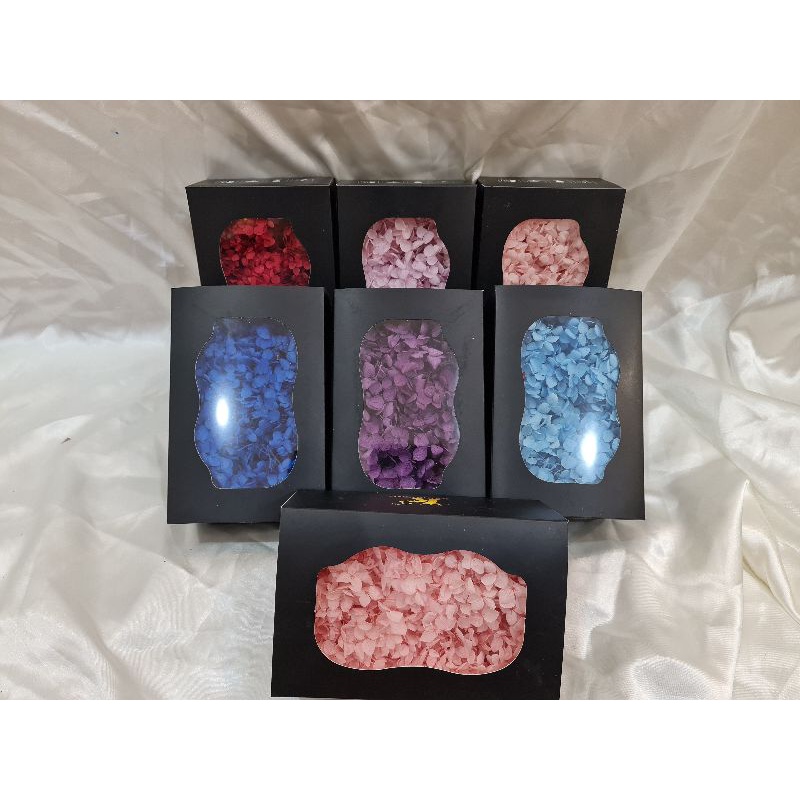 Hydrangea preserved / bunga hydrangea abadi
