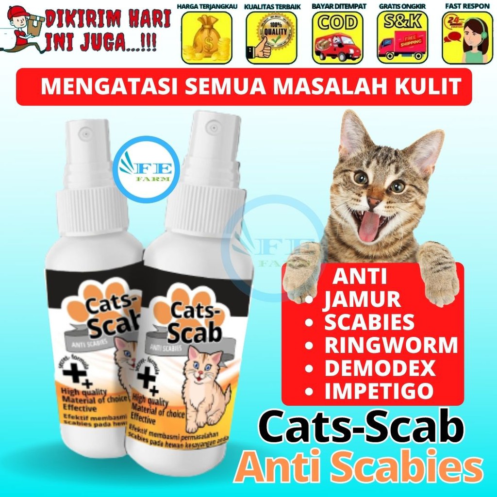 Obat Jamur Kucing Scabies Demodex Impetigo Jamur Kutu Parasit Cacing Hati Gatal Kulit ANTI SCABIES FEFARM