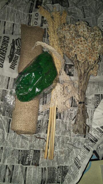 Rumput Kayu Angin Hijau 20gr