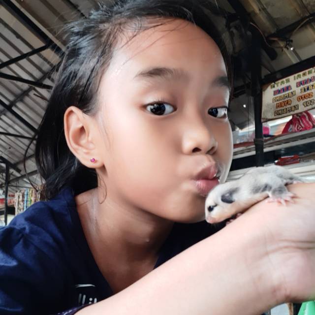 cahayacita