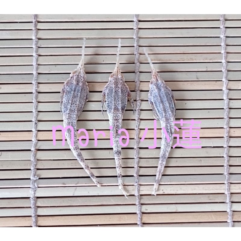 

Hai Yan 海燕 Ikan Elang Laut Kering