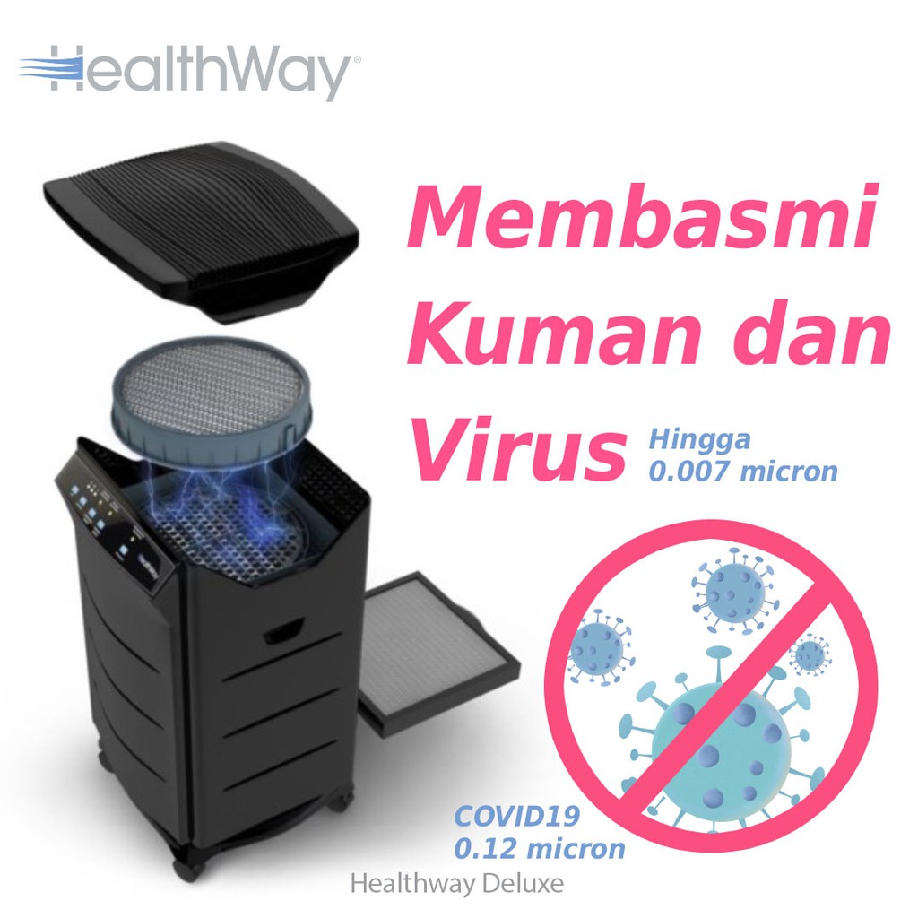 Healthway Deluxe Dfs Air Purifier Shopee Indonesia