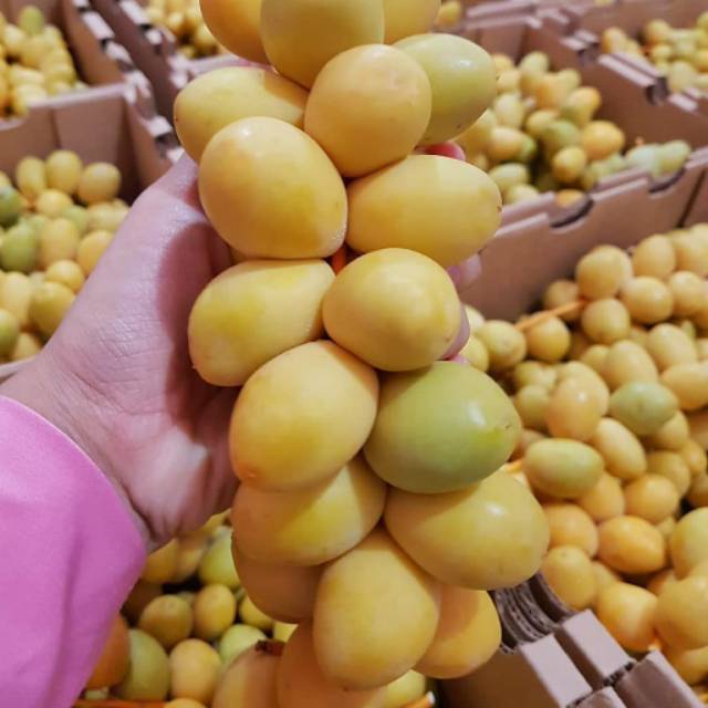 

Kurma muda 500 gram