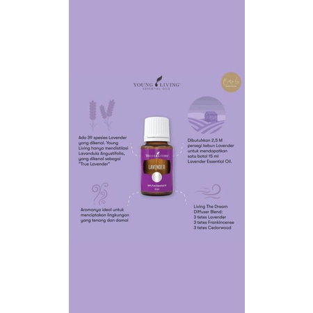 Oil lavender young living
