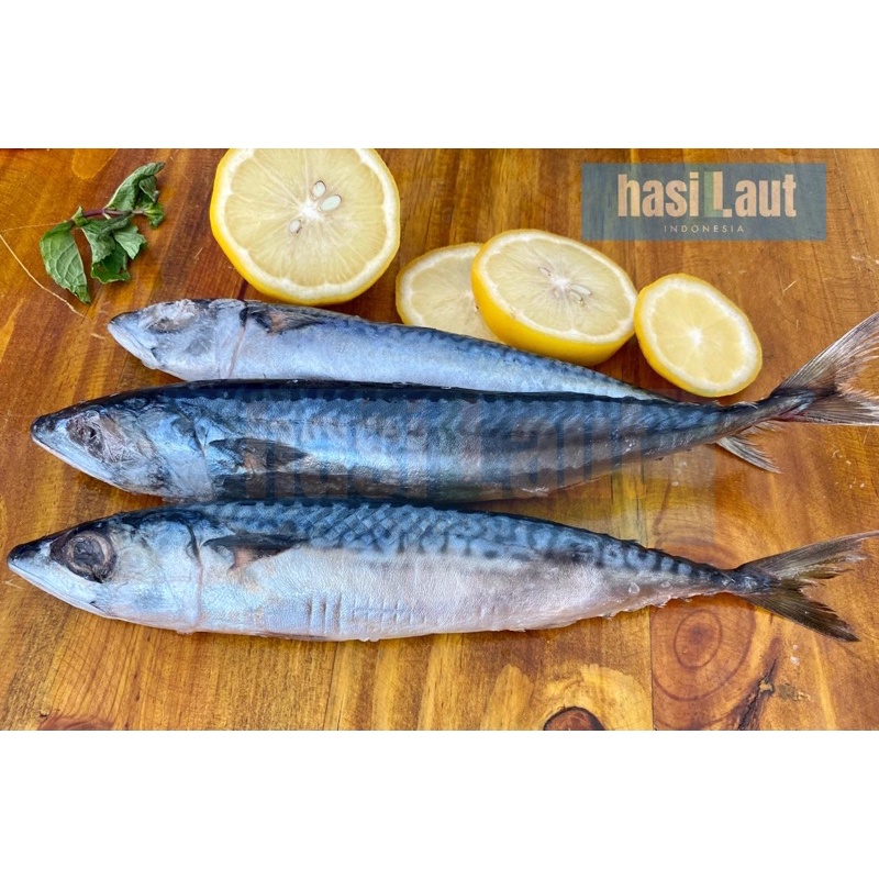 

IKAN MAKAREL PREMIUM Jumbo/ IKAN SALEM Jepang 1Kg isi 6-8