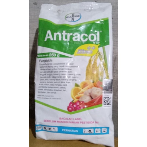 fungisida ( Antracol 250 g )