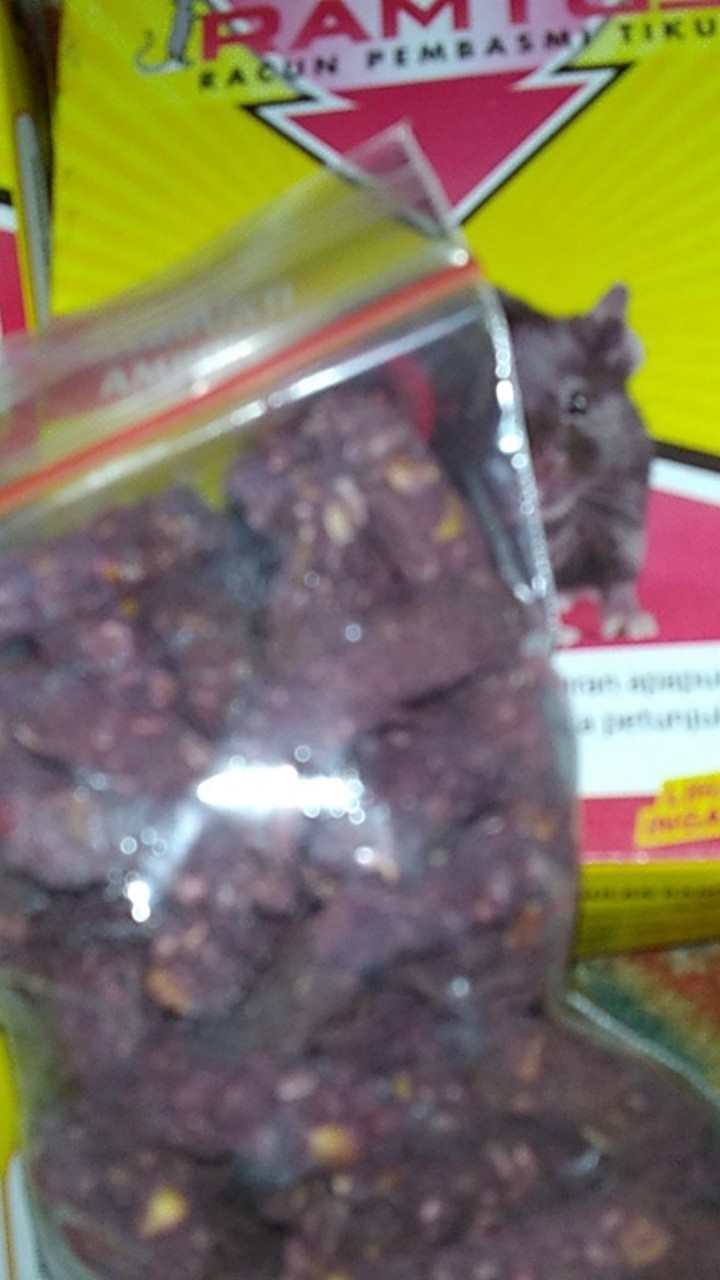 Ramtus Obat Racun Tikus Langsung Mati Kering Tidak Bau Sangat Ampuh Racun Pembasmi Tikus 12 Pack