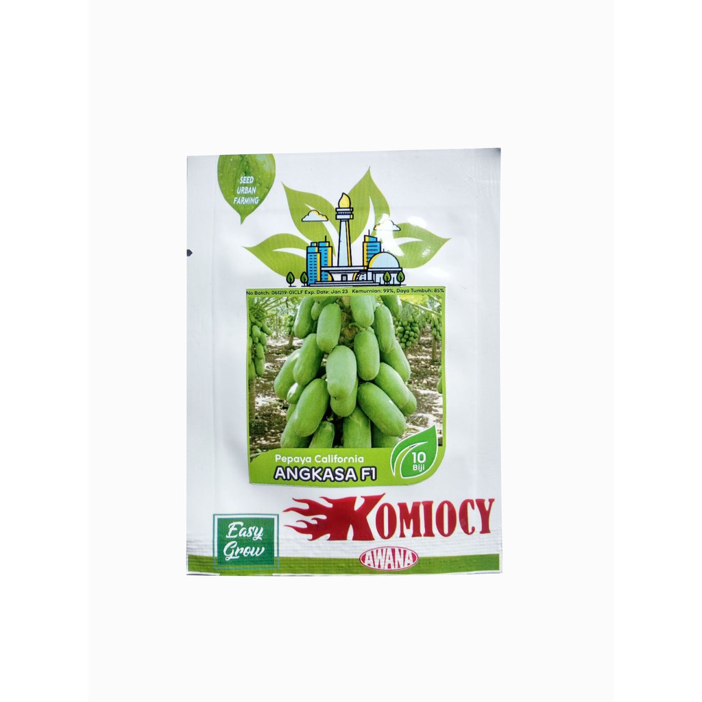 Benih Pepaya California ANGKASA F1 Komiocy