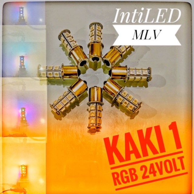 12-24VOLT - KAKI 1 BEMPER RGB BAYONET KEDIP DISCO UNTUK BIS/TRUK