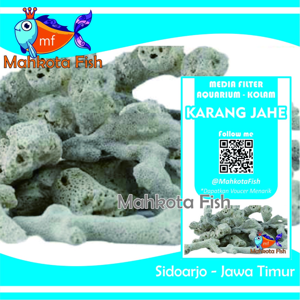 Batu Karang Jahe (500 gr) | Karang Jahe | Media Filter Aquarium Aquascape | Media Filter Kolam