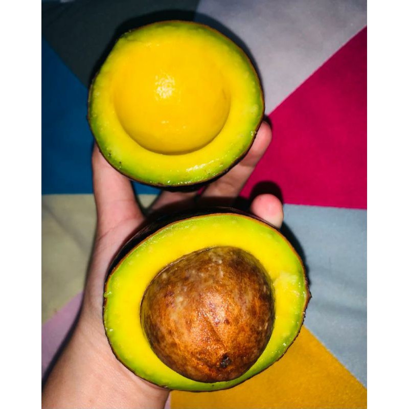 

Alpukat Mentega