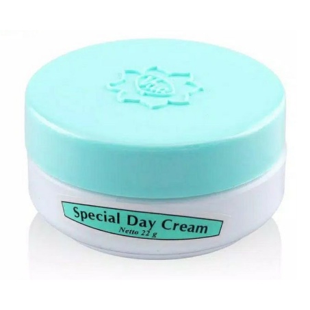 Viva Special Day Cream 22gr