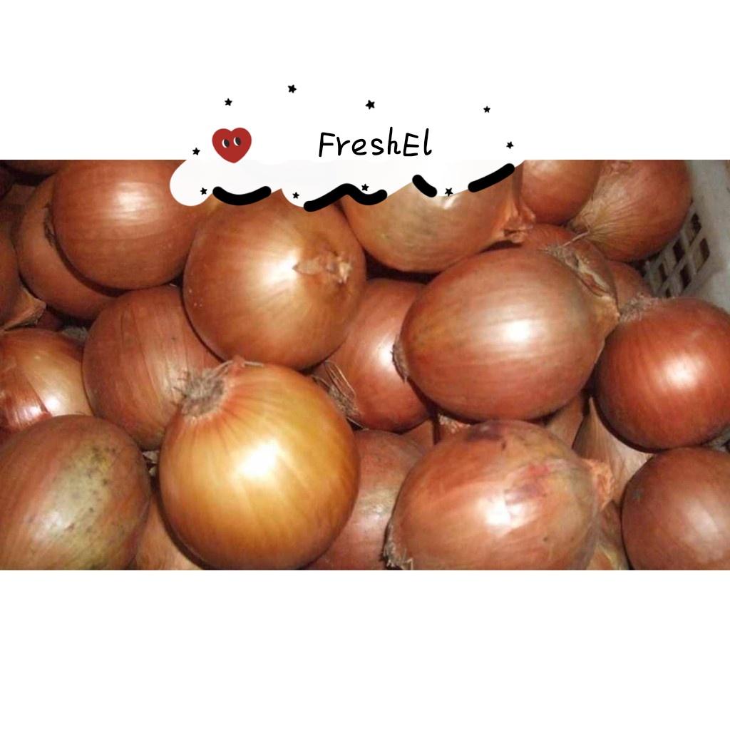 

FreshEl - AWANG BOMBAY