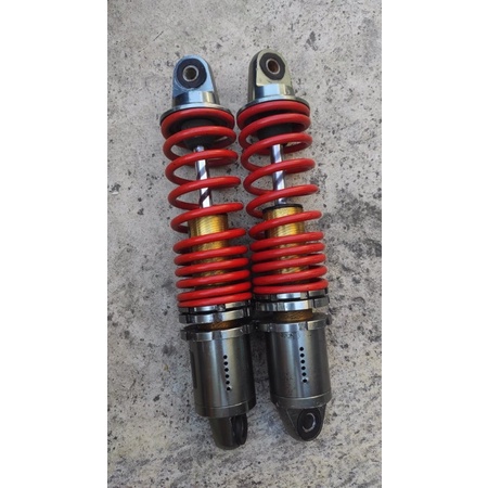 shock daytona