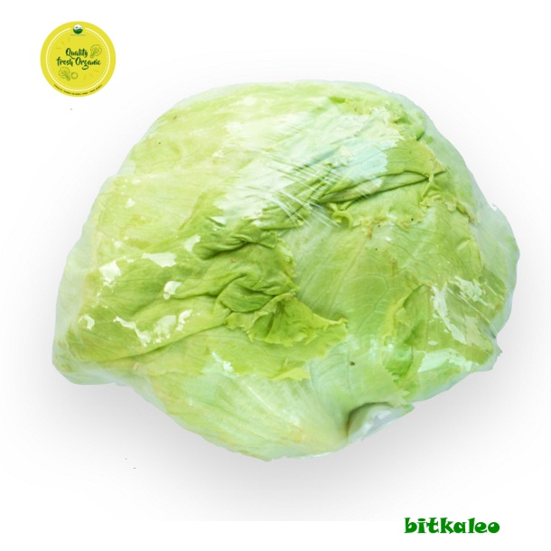 

Selada Head/Lettuce Organik 500 gr (PO)