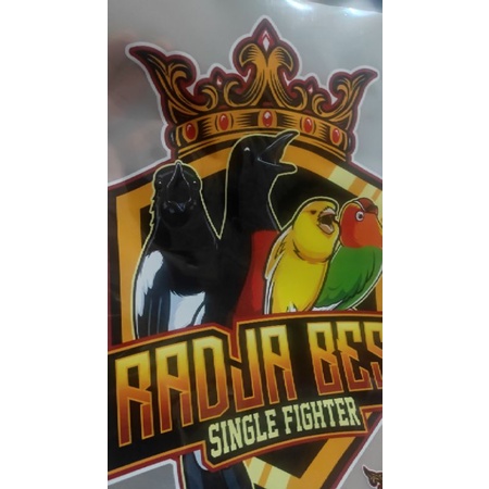 CETAK FILM SABLON DTF LEMBARAN A3 / PRINT DTF A3 SIAP PRESS