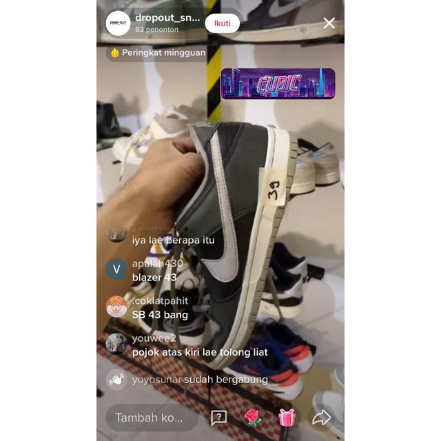 SB Dunk Low Pro Shadow