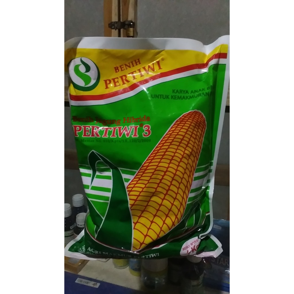BENIH JAGUNG PERTIWI 3