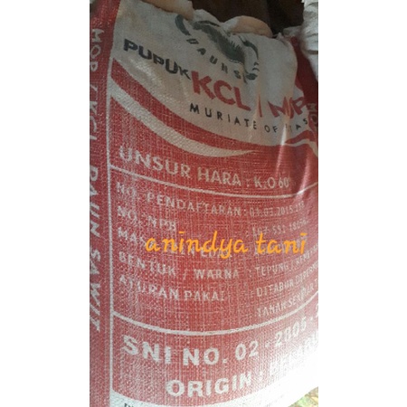 pupuk KCL 1kg repack