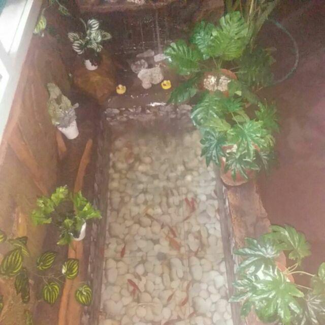 Tanaman Hias Artificial Daun Artificial Pohon Mini Monstera Aglaonema Keladi