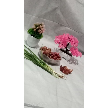 

bawang merah